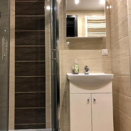 Przy Plazy Danusia アパート *