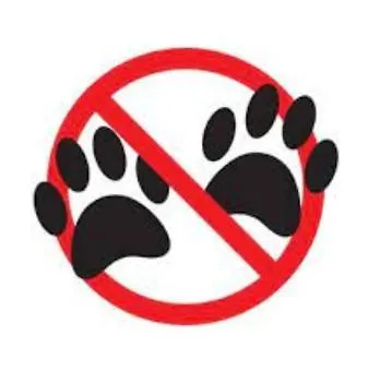 Przy Plazy Danusia Apartmán